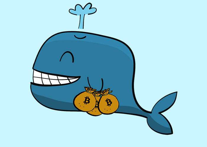A mystery $1 billion Bitcoin Whale is active – What could it mean to prices?