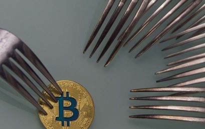 What are bitcoin forks and how do they work?