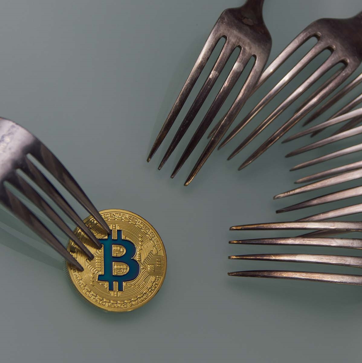 active development for most bitcoin forks evaporates