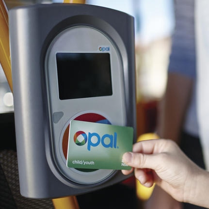 Opal card integration with Apple Pay, Google Pay? Dominello dares to dream