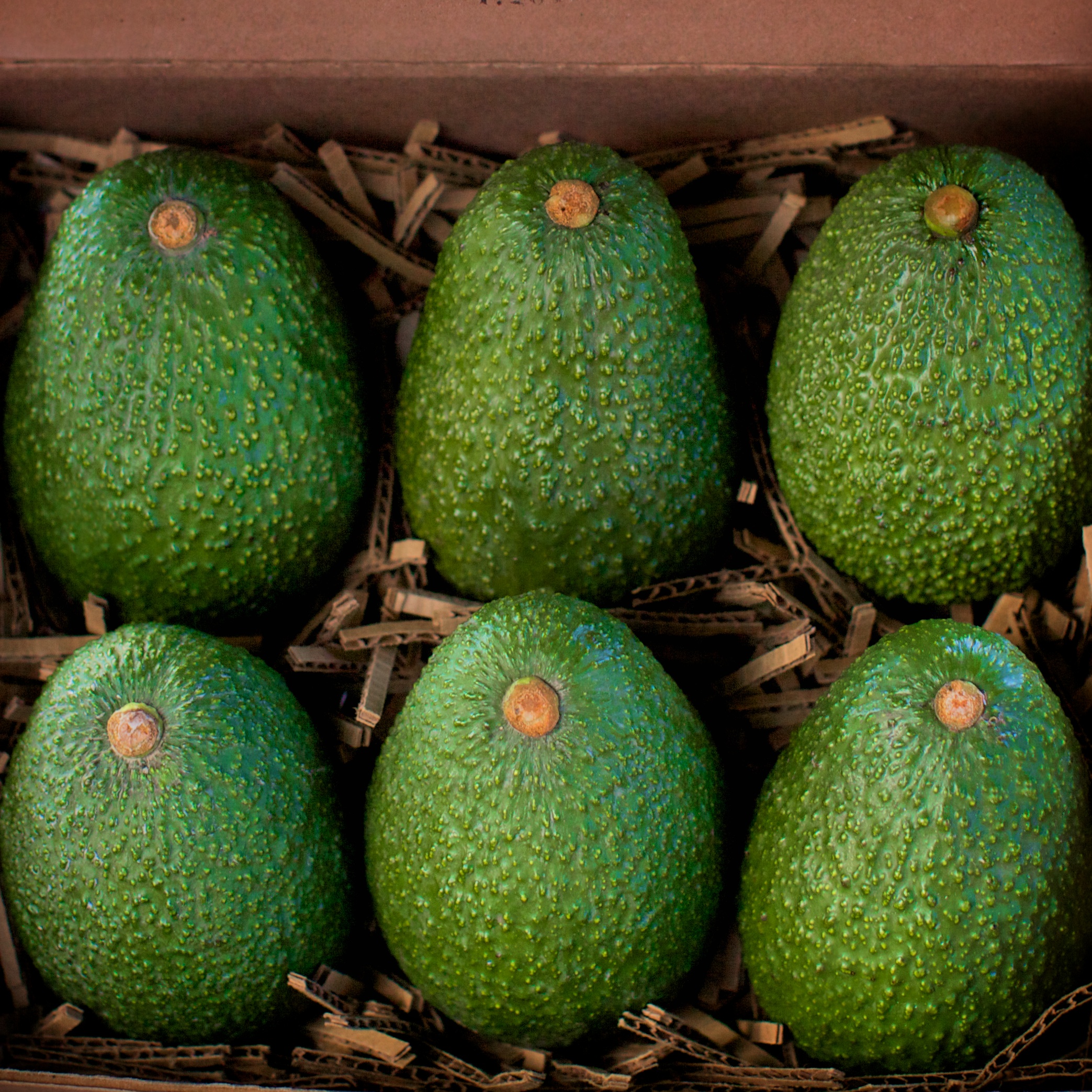 You could buy 100 boxes of avocados for the price of one bitcoin