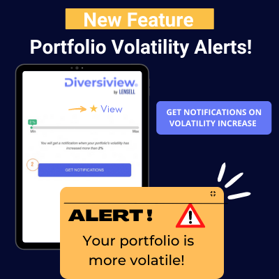 New feature in Diversiview: Portfolio Volatility Alerts