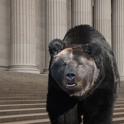 Australian investors bought into the bear market trap in Q3: Calastone