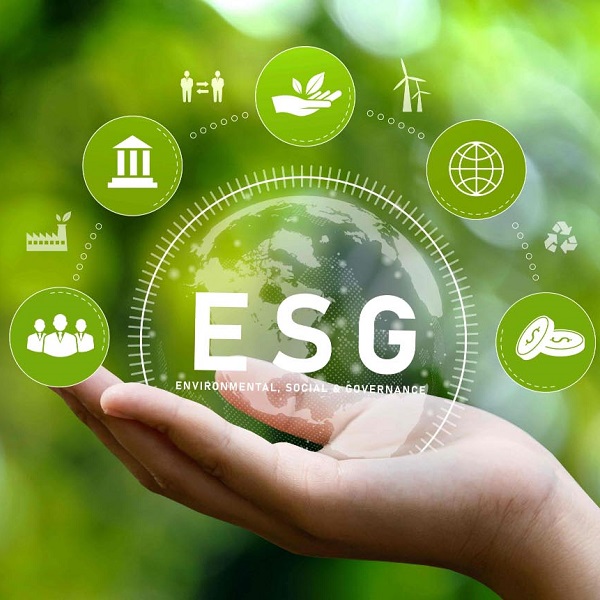 How low-code can help financial services businesses to lead the way on ESG